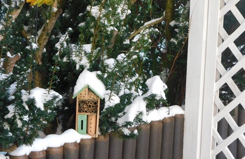 Frankenberg Apartment | Delightful Apartment "Pusteblume" with Pool in Frankenberg
