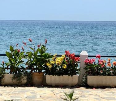Sitio de Calahonda Apartment | Beachfront 2 Bedroom House with Pool & Ocean View, Rated 9.7