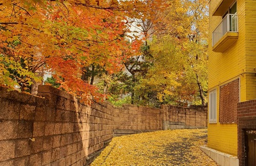 Mapo House | Prime Location with Breakfast and Family-Friendly Amenities