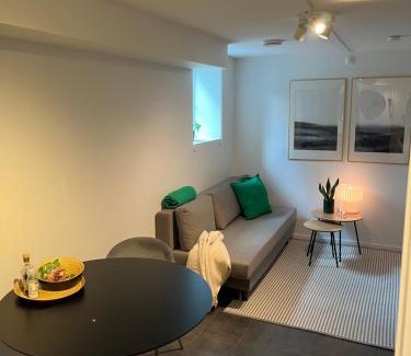 Oslo Apartment | Newly renovated apartment close to city center