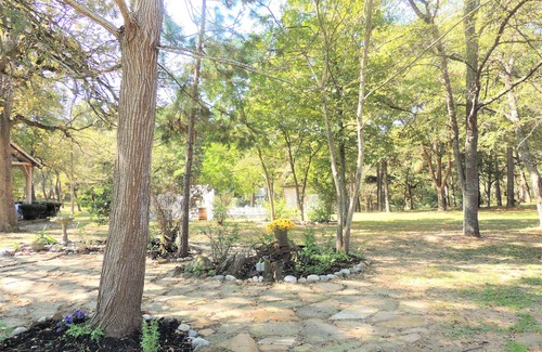 Palestine Cabin | Newly Renovated Cabin at The Ranch at Walston Springs