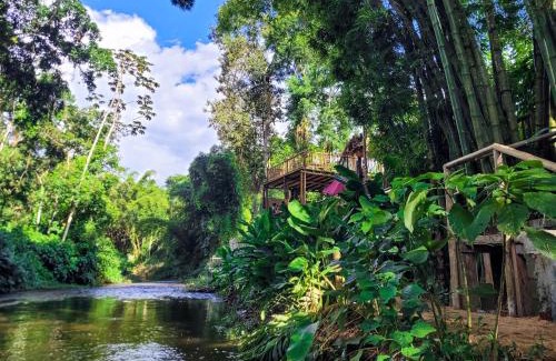 Ponte Branca House | Discover News Hospedagem: Pet-Friendly & Family Fun Awaits