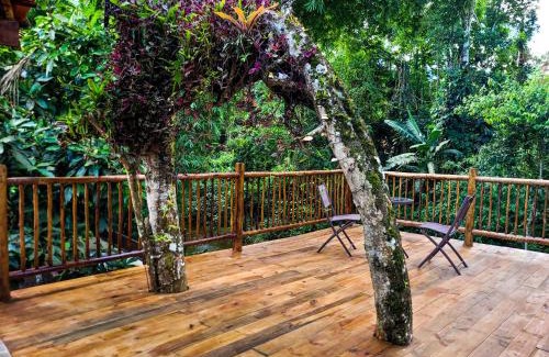Ponte Branca House | Discover News Hospedagem: Pet-Friendly & Family Fun Awaits