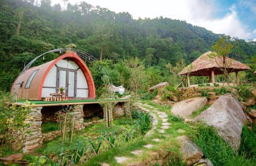 Sa Pa Hotel | Explore Ngũ Chỉ Sơn Trekking in Pet-Friendly Comfort