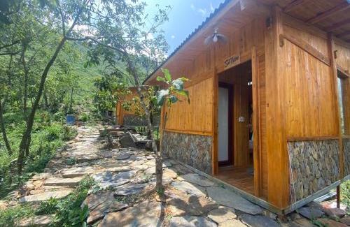 Sa Pa Hotel | Explore Ngũ Chỉ Sơn Trekking in Pet-Friendly Comfort