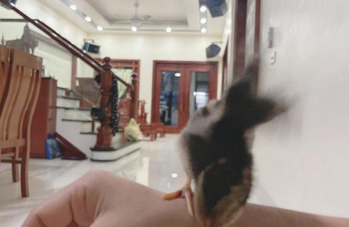 Ninh Binh Apartment | Cozy Ngoc Apartment: Family-Friendly with Pool Access
