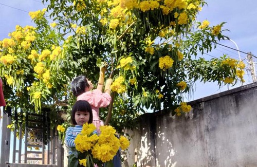 Da Lat House | Discover Ngôi nhà Venno: Family & Pet-Friendly Retreat
