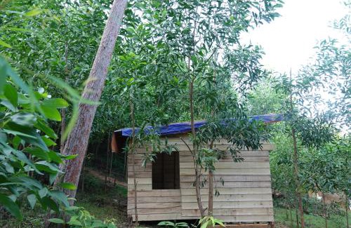 Son Trach House | Nguyen Shack Retreat Resort: Pet-Friendly Oceanfront Escape