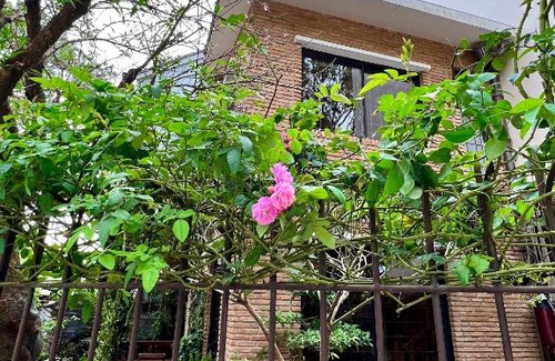 Da Lat Villa | Comfortable Stay at Nhà An Cozy - Pet & Child Friendly
