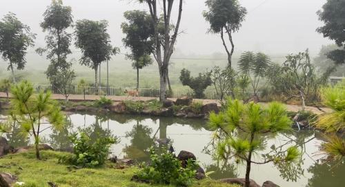 Chau Duc Apartment | Discover Nhà Bên Đồi - A Family-Friendly Villa Escape