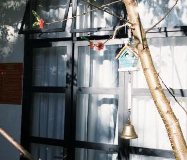 Da Lat House | NHÀ BẠCH TUỘC - Đà Lạt