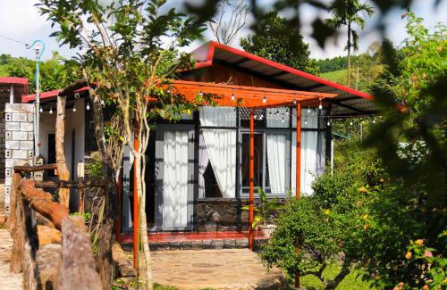 Bao Loc House | Cozy Home bông và gạo: Perfect for Families and Pets