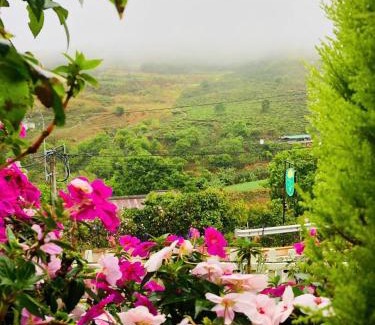Da Lat House | Perfect Family Getaway at Nhà Hoa Nắng Homestay Đà Lạt
