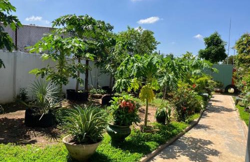 Duc Linh House | Family-Friendly Retreat at Nhà Nghỉ Sakura Homestay