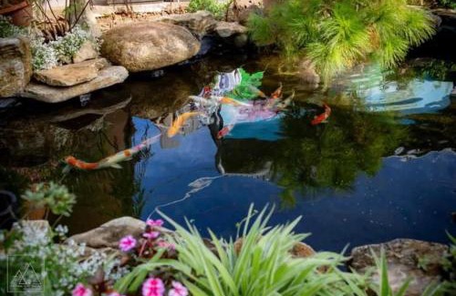 Don Duong Hotel | Nhật Hạ Homestay
