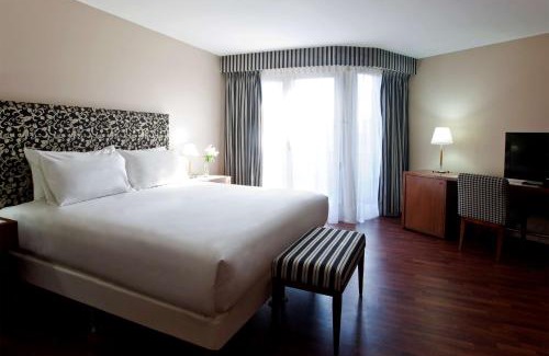 Cordoba Hotel | Discover NH Córdoba Panorama: Family-Friendly & Pet Welcome