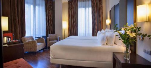 Granada City Center Hotel | Elegant NH Collection Victoria: Pet-Friendly & Great Reviews