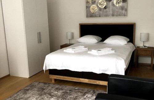 Sihlfeld Apartment | Stylish 1BR City Center Flat with Balcony - Pet Friendly