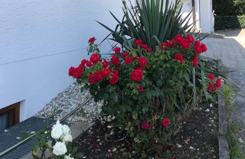 Bad Griesbach im Rottal Apartment | Cozy Apartment for 2 at Lindenfeld with Breakfast Included