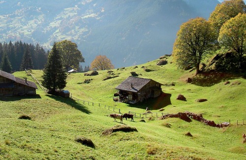 Grindelwald Apartment | Nice apartment for 2 people with WIFI, TV and parking