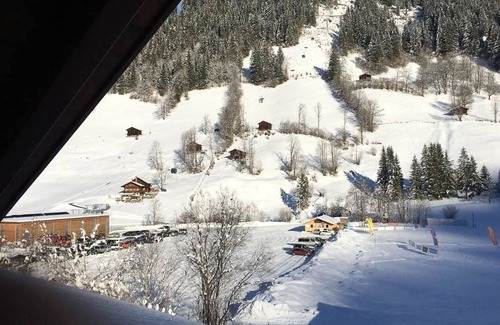 Lenk Apartment | Nice apartment for 4 guests with WIFI, TV, balcony and parking