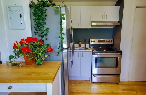 Vieux-Limoilou Apartment | Comfortable Apartment in Limoilou with Family Amenities
