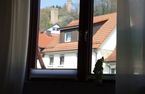 Hirschhorn Apartment | Central Apartment with Castle View and S-Bahn Access