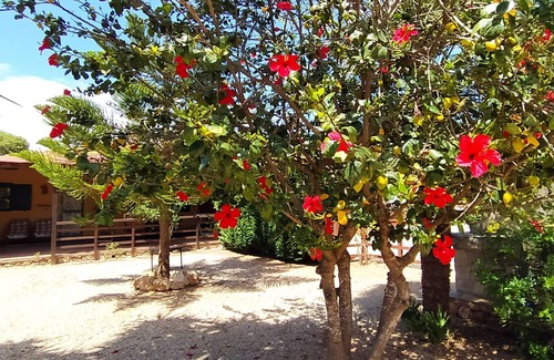 Alghero House | Cozy Alghero Cottage with Garden and BBQ Facilities
