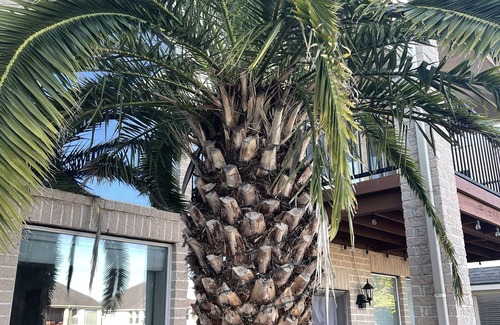 Chelsea Harbour House | Enjoy a Relaxing Stay at Blue Water Lake in Sugar Land