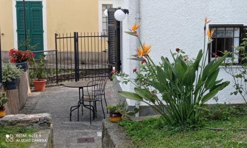 San Lorenzo della Costa Apartment | Nice nest for two S Margherita L. 010054-LT-0405