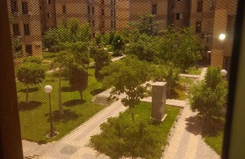 Sheikh Zayed City Apartment | Perfect Three-Bedroom Flat with Pet-Friendly Amenities