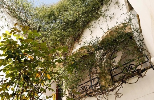 San Ambrosio House | Beautiful Patio House with Ocean Views and Spa Amenities