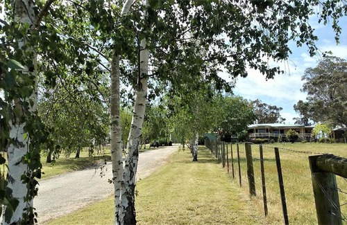 Nicholson Bed & Breakfast | Guest Rated 9/10 at Nicholson BnB and Arts Centre
