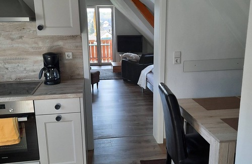 Lahr Apartment | Immaculate 1-Bedroom Apartment for Up to 4 Guests