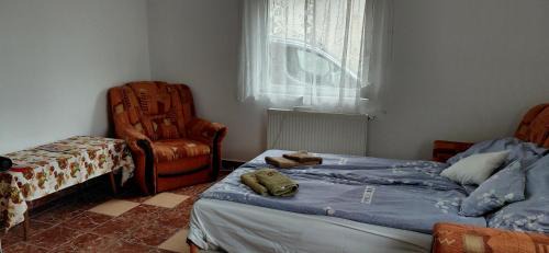 Deg House | Discover Nicoláj Vendégház: Family-Friendly & Accessible Stay
