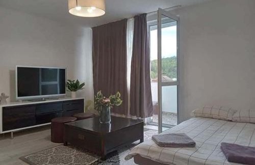 Ocna Mures Apartment | Pet-Friendly Apartments in Romania - Rated 9.7/10 by Guests