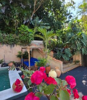 Santa Teresa Bed & Breakfast | Oceanfront Suites at Nid Aigle - Rated 9.6/10 by Guests