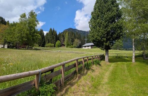 Casetti Apartment | Discover Nido del Brenta: Pet-Friendly Retreat with 9.7/10
