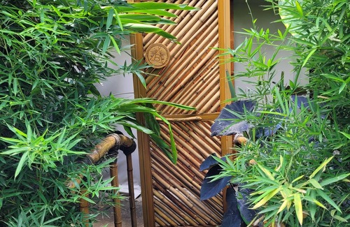 Tuxcueca House | Unique Nido Ecoluxury Treehouse with Spa & Breakfast