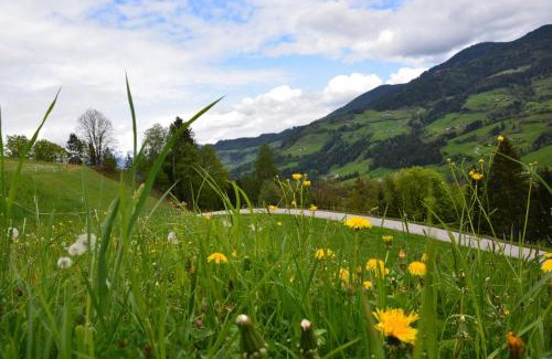 Maschl Apartment | Family-Friendly Retreat at Niederstallnhof - Rated 9/10