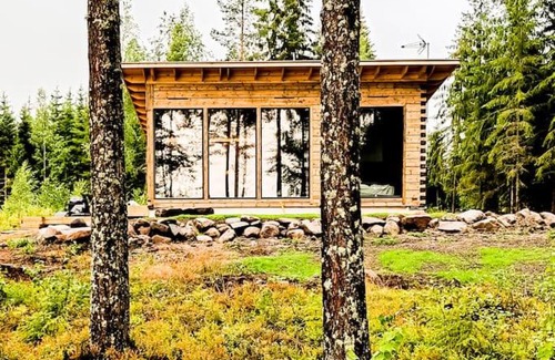 Tampere Villa | Explore Niemi-Kapeen Kokkoranta Lake House with Oceanfront Views