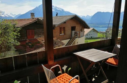 Aeschlen ob Gunten Apartment | Oceanfront Niesenblick: Pet-Friendly Retreat with Great Views