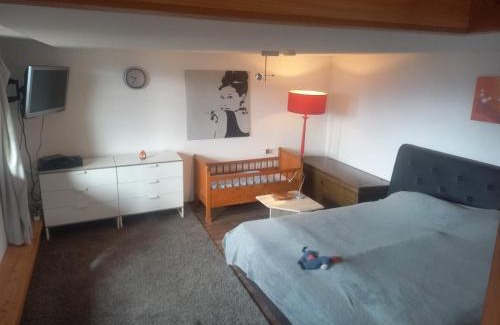 Aeschlen ob Gunten Apartment | Oceanfront Niesenblick: Pet-Friendly Retreat with Great Views