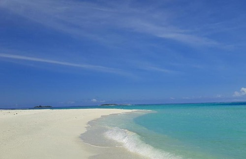 Dhangethi Bed & Breakfast | Discover Night Star Dhangethi: Oceanfront & Pet-Friendly Stay