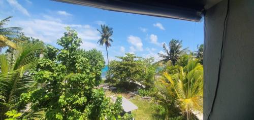 Dhangethi Bed & Breakfast | Discover Night Star Dhangethi: Oceanfront & Pet-Friendly Stay