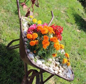 Ruzic House | Pet-Friendly Nikini dvori with Pool & Perfect 10 Score