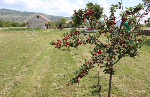 Ruzic House | Pet-Friendly Nikini dvori with Pool & Perfect 10 Score