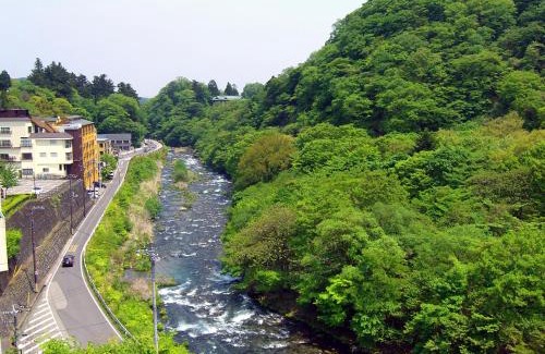 Nikko Hotel | Relax at Nikko Senhime Monogatari: Spa & Hot Tub Retreat