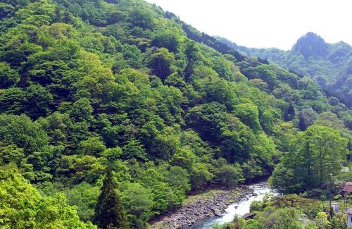 Nikko Hotel | Relax at Nikko Senhime Monogatari: Spa & Hot Tub Retreat