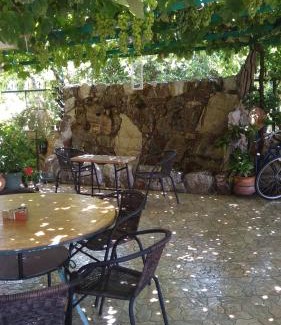 Dorida Apartment | Family-Friendly Nikolitsa Apartments with 9.3/10 Guest Rating
